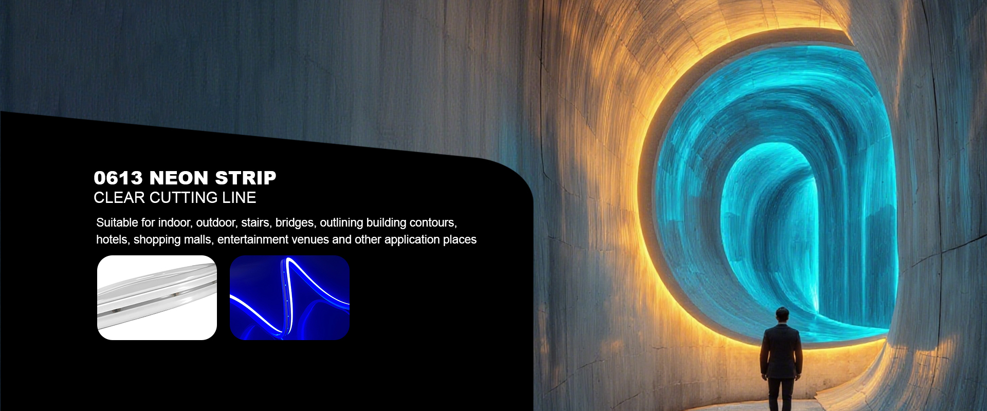 qualité Bandes de néon LED usine