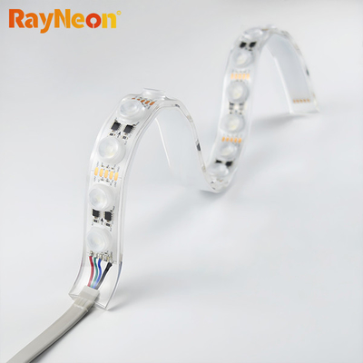 DC12V 24V Waterproof IP68 PU Neon Flex Swimming Pool Silicone Dimming LED Strip Lights