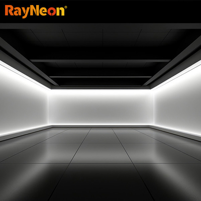 16*16 Waterproof IP65 LED Silicone Neon Strips Overhead 24V 2835 Flexible Outdoor Neon Light Strips