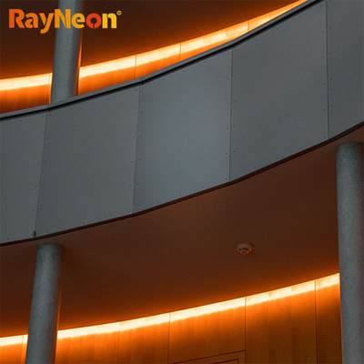 10*18mm Silicone LED Neon Flex Strip Lighting RGB 12V 24V Side View IP67 Indoor Neon Lights