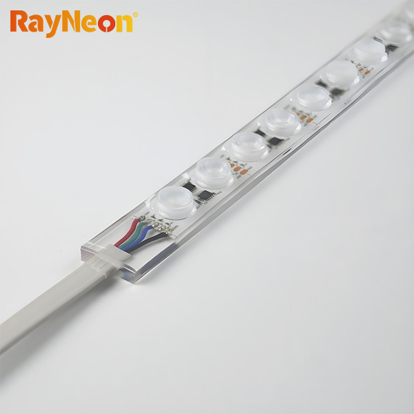 DC12V 24V Waterproof IP68 PU Neon Flex Swimming Pool Silicone Dimming LED Strip Lights